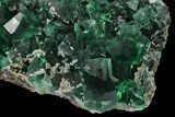 Fluorite Crystal Cluster - Rogerley Mine #134786-2